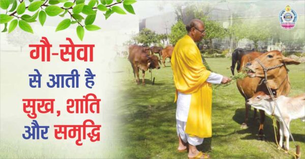 Happiness, peace and prosperity comes from cow-service