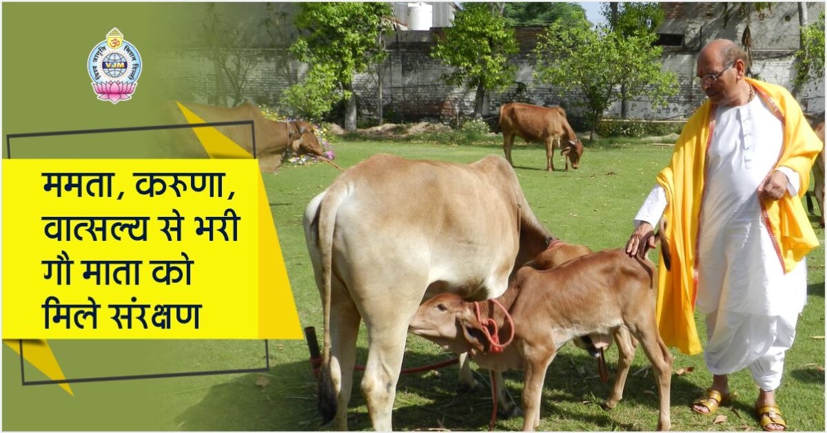 ममता, करुणा, वात्सल्य से भरी ‘गौ’ माता को मिले संरक्षण