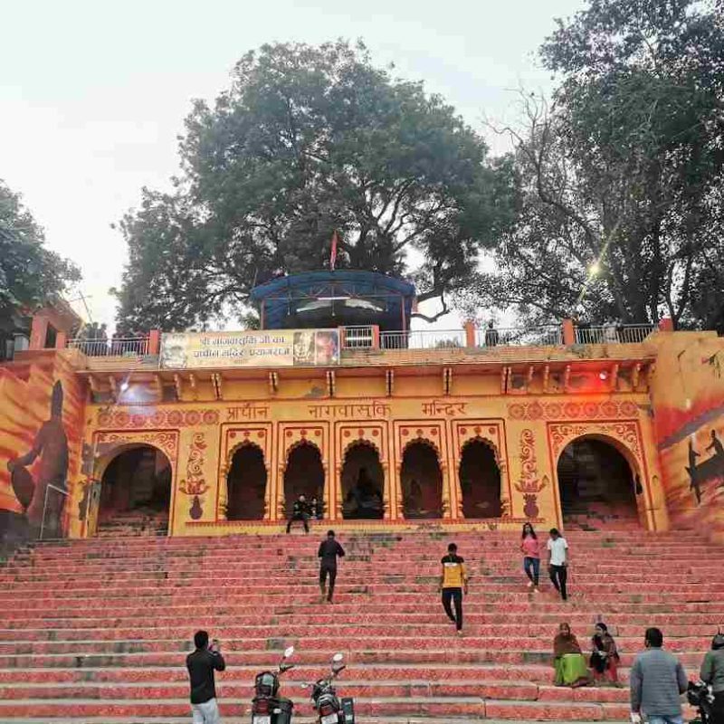 nagvasuki-mandir